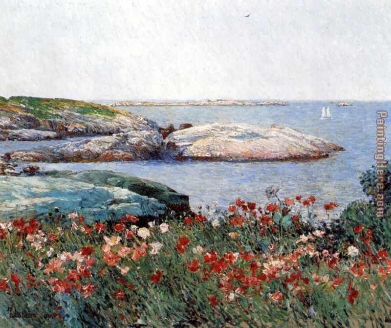 Poppies Isles of Shoals painting - childe hassam Poppies Isles of Shoals art painting